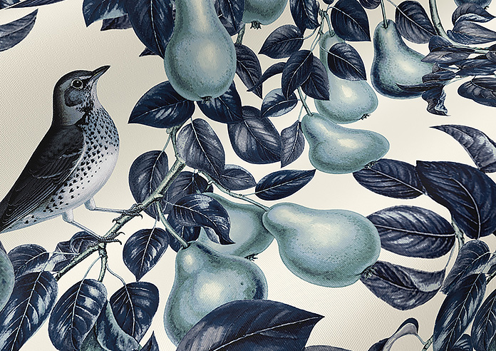 Pears, Hudds - Roller Blind - Image 4